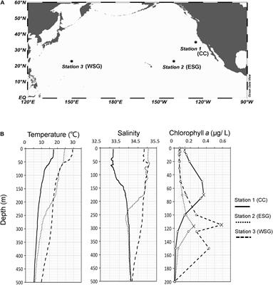 Feeding Ecology of Three Euphausiid Species in the North Pacific Ocean Inferred From 18S V9 Metabarcoding and Stable Isotope Analysis